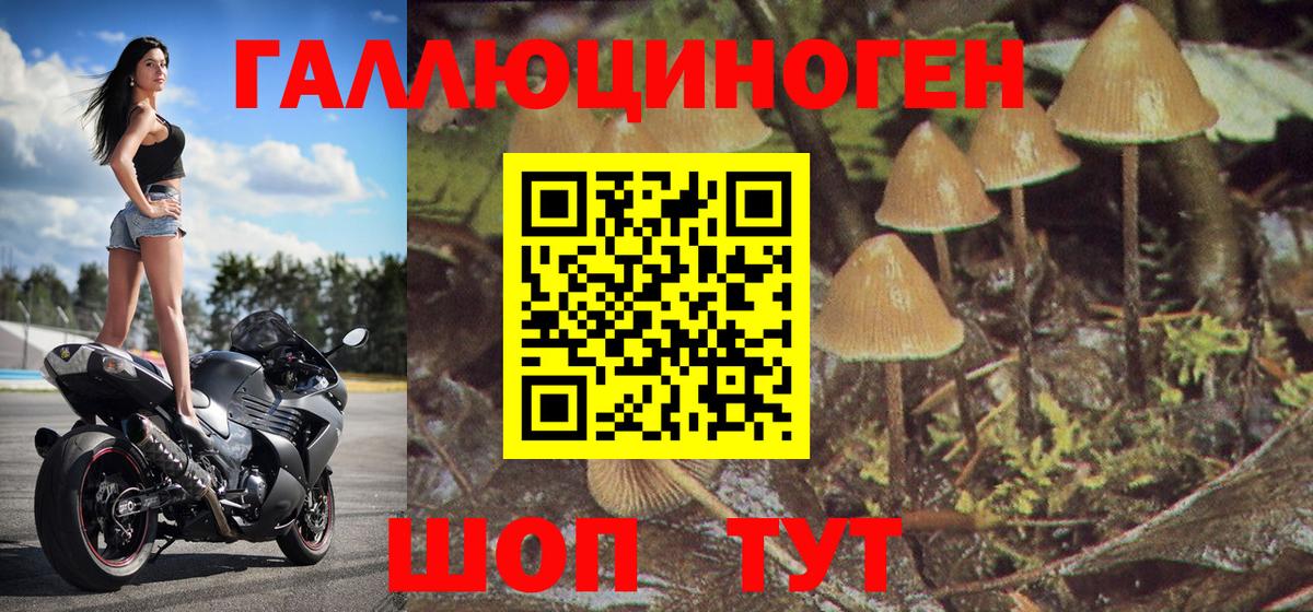 Псилоцибиновые грибы MAGIC MUSHROOMS Мурино