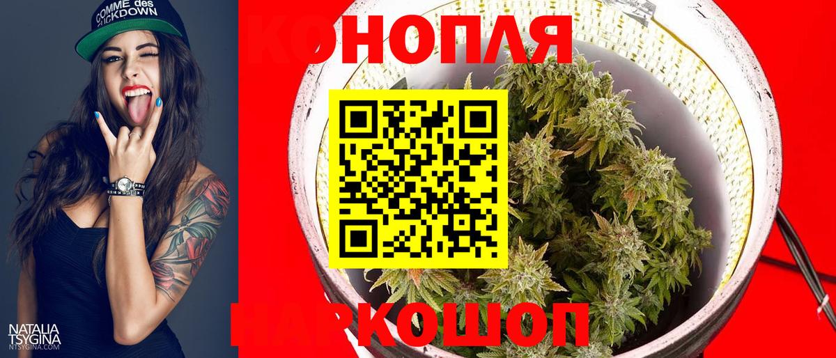 Каннабис план  Канабис SATIVA & INDICA  Вход с VPN  Мурино  Канабис план 